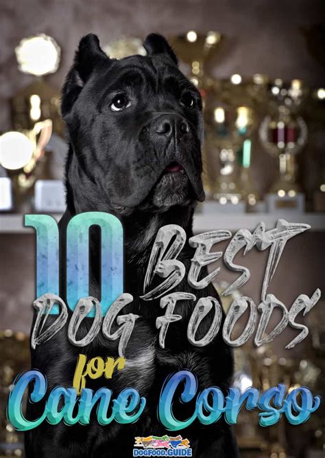 Best dog food for cane corso. Things To Know About Best dog food for cane corso. 